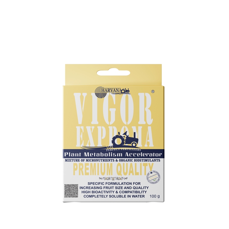 VIGOR EXPROMA VIGOR EXPROMA